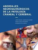 Libro Abordajes neuroquirúrgicos de la patología craneal y cerebral + acceso web