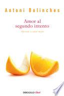 Libro Amor al segundo intento