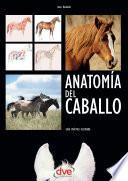 Libro Anatomía del caballo: Guía práctica ilustrada