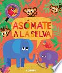 Libro Asómate a la Selva