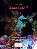Libro Asonante 2