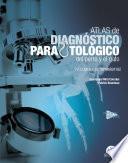 Libro Atlas de diagnóstico parasitológico del perro y el gato. Volumen II: Ectoparásitos