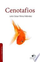 Libro Cenotafios