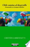 Libro Chile camino al desarrollo