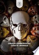 Libro Cirugía craneofacial: Guías de abordaje