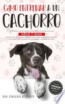 Libro Cómo Entrenar a un Cachorro