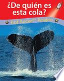 Libro ¿De quién es esta cola?