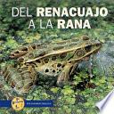 Libro Del renacuajo a la rana