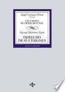 Libro Derecho de sucesiones