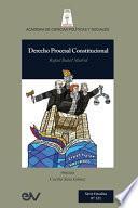 Libro DERECHO PROCESAL CONSTITUCIONAL