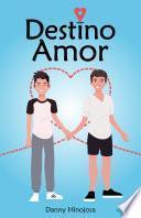 Libro Destino Amor