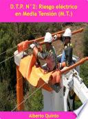 Libro DTP N°2: Riesgo Eléctrico en Media Tensión (M.T.)