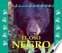 Libro El oso negro