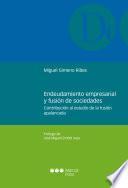 Libro Endeudamiento empresarial y fusión de sociedades