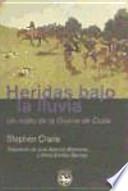 Libro Heridas bajo la lluvia