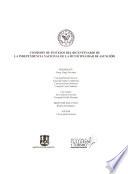 Libro Historia de la arquitectura del Paraguay, 1537-1911