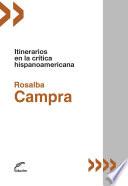 Libro Itinerarios en la crítica hispanoamericana