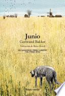 Libro Junio