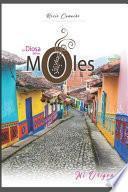 Libro La Diosa de los Moles: Mi Origen...