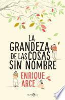 Libro La grandeza de las cosas sin nombre