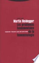 Libro Los problemas fundamentales de la fenomenología