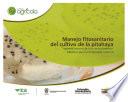 Libro Manejo fitosanitario del cultivo de la pitahaya (Hylocereus magalanthus (K. Schum.ex Vaupel)Ralf Bauer) medidas para la temporada invernal