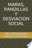 Libro Maras, pandillas y desviación social