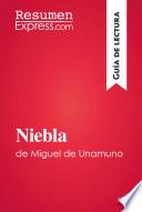 Libro Niebla de Miguel de Unamuno (Guía de lectura)