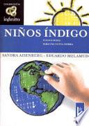 Libro Ni?os Indigo