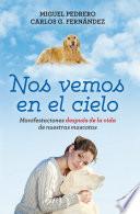 Libro Nos vemos en el cielo