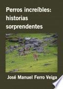 Libro Perros increíbles: historias sorprendentes