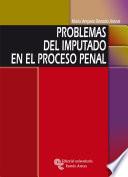 Libro Problemas del Imputado en el proceso penal