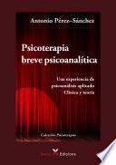 Libro Psicoterapia breve psicoanalítica