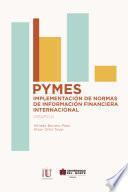 Libro Pymes Implementación de normas de información financiera internacional (Grupo 2