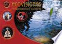 Libro Revista ecovisiones nº 2