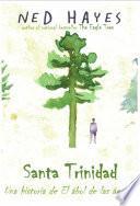 Libro Santa trinidad