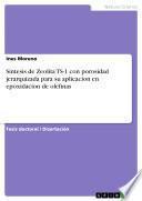 Libro Sintesis de Zeolita TS-1 con porosidad jerarquizada para su aplicacion en epoxidacion de olefinas