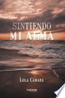 Libro Sintiendo mi alma