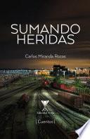 Libro Sumando heridas