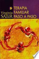 Libro Terapia familiar paso a paso