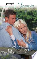Libro Un amor en el destino