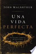 Libro Una vida perfecta