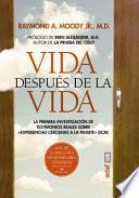 Libro Vida Despues de La Vida